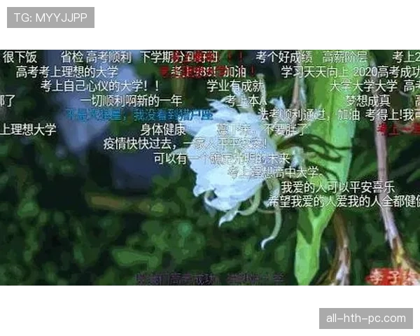 李盈莹随手一放的行李箱比我这月房租还贵，刷到瞬间懵了